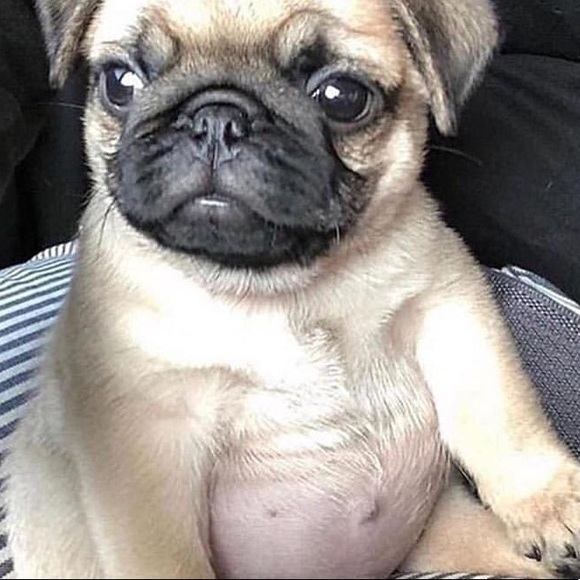 Meet your Posher, Evan - Picture 1 of 1